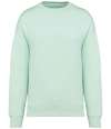 NS407 Oversized Sweatshirt brook green colour image